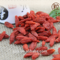 Baie de Goji médicinale biologique / Baie de Goji séchée de Ningxia